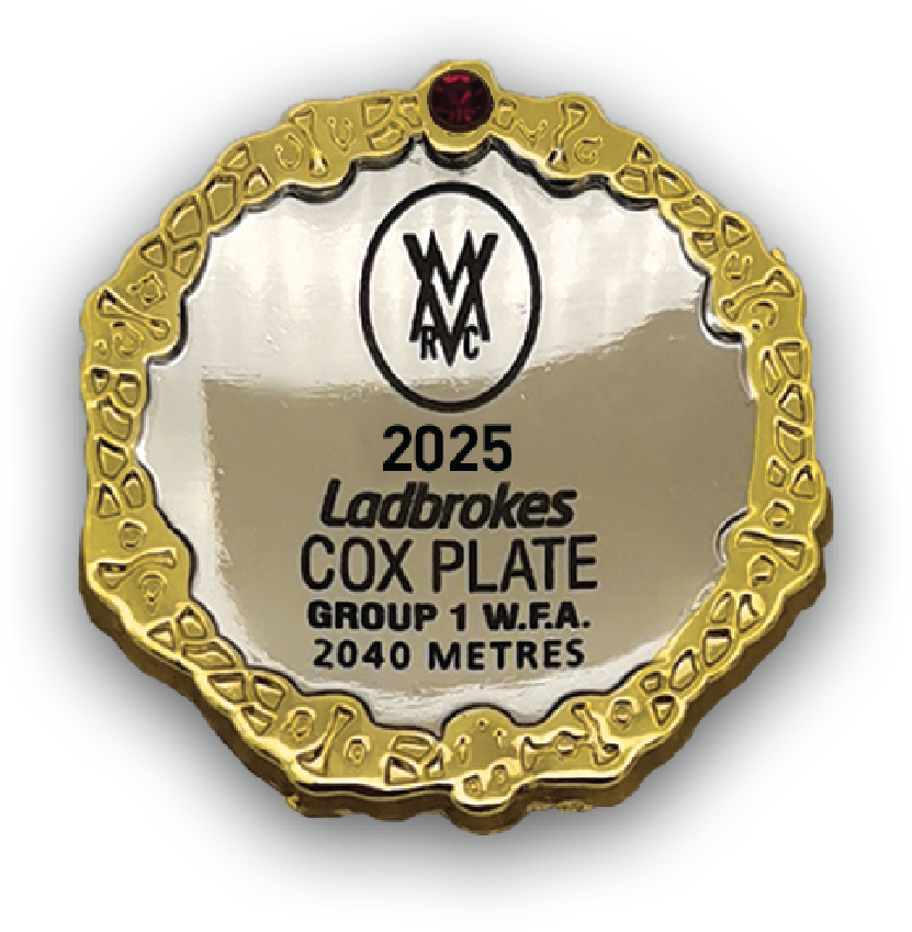 Cox Plate Carnival Charity Pin